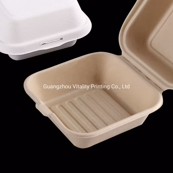 Einweg-Lunchbox aus Papier, biologisch abbaubare Zuckerrohr-Bagasse-Clamshell-Burger-Boxen zum Mitnehmen