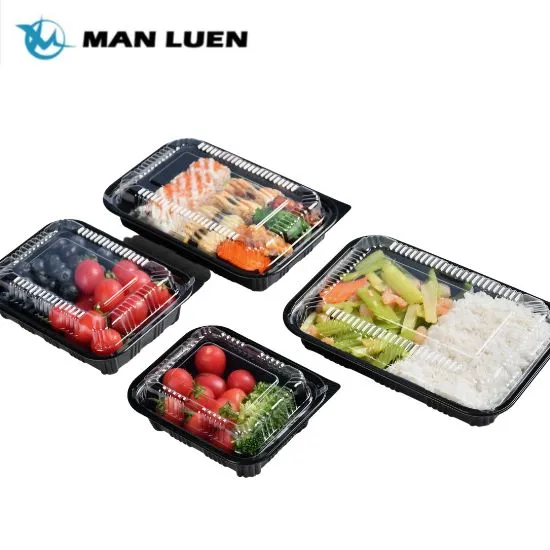 Rechteckige Lunchbox aus Kunststoff zum Mitnehmen