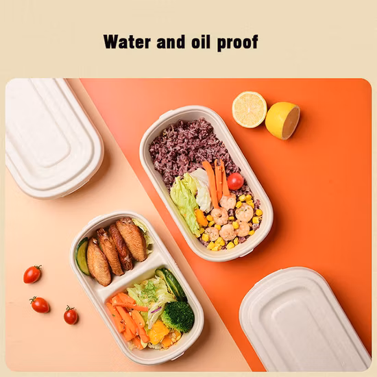 Biologisch abbaubares Geschirr, Lebensmittelbehälter, Großhandel, Maisstärke, Surgarcane, Bagasse, Zellstoff, Muschelschale mit Deckel, Restaurant-Mahlzeit, Zubereitung zum Mitnehmen, Mittagessen zum Mitnehmen